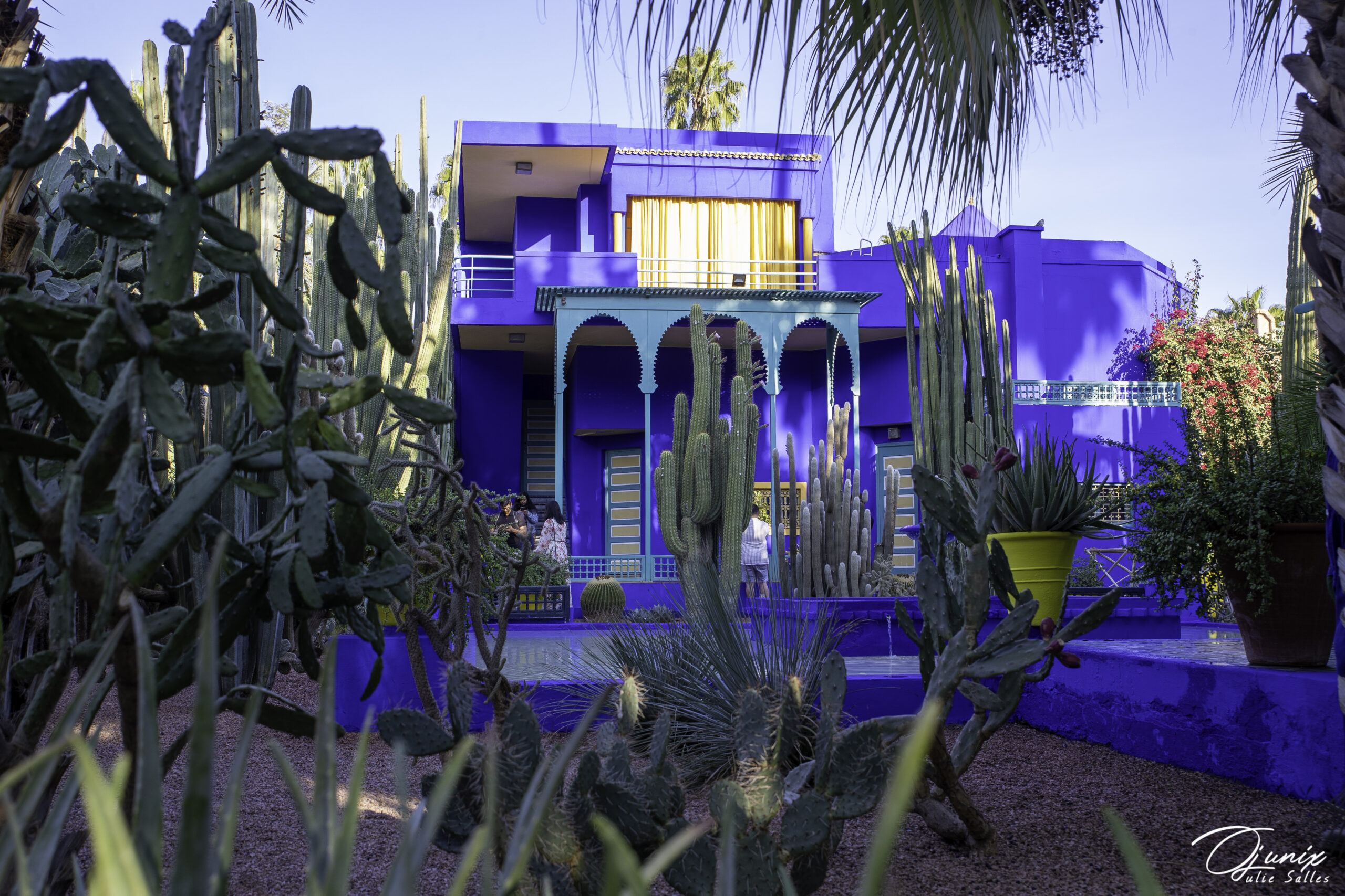 jardin majorelle Marrakech Maroc